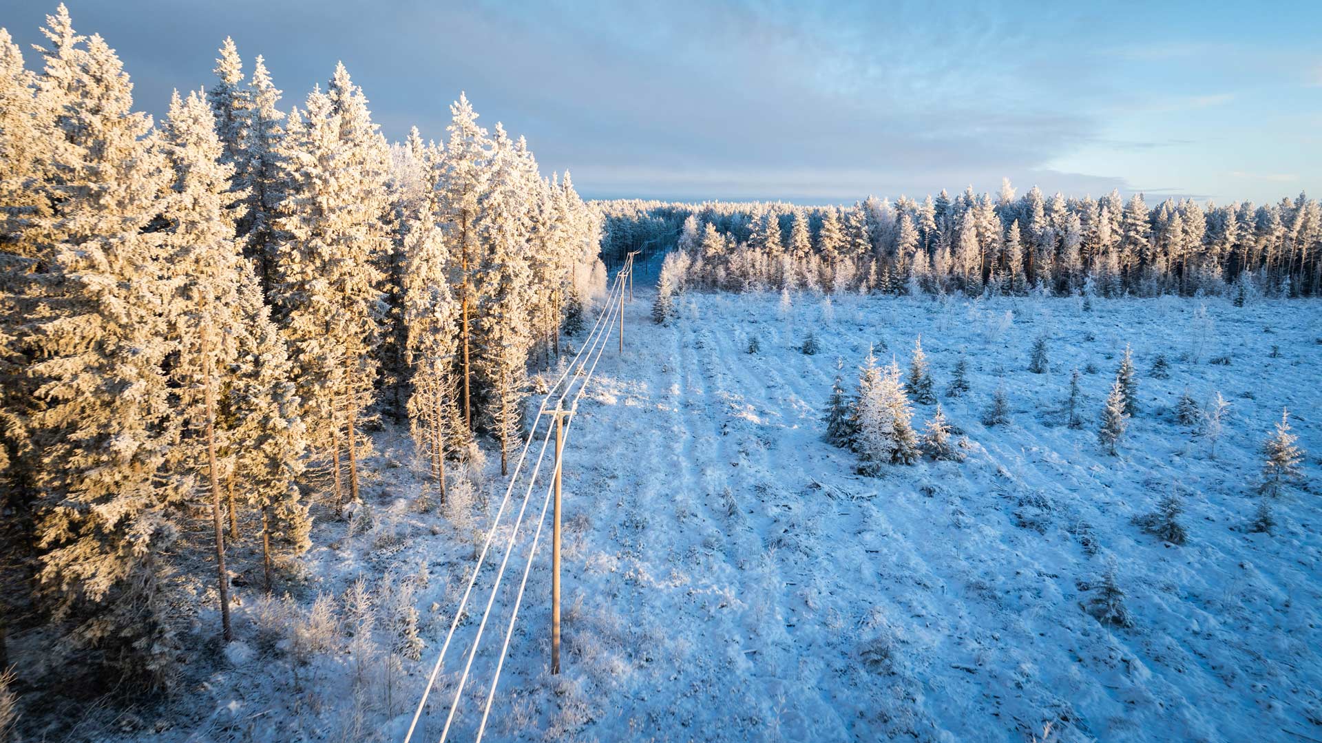 Voimajohto metsänrajassa talvisella säällä.