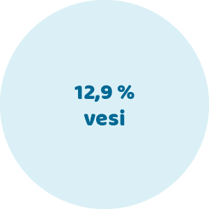 12,9 % Vesi